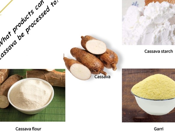 What products can cassava be processed into? What equipment is needed to produce different products?